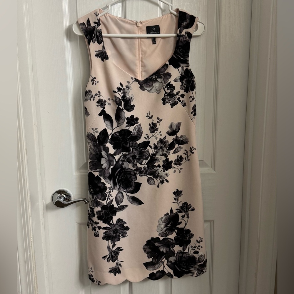 Adrianna Papell Black Floral on Cream Midi Dress